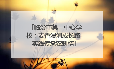 临汾市第一中心学校：麦香浸润成长路 实践传承农耕情