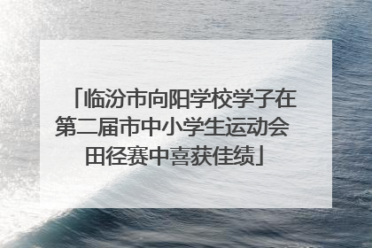 临汾市向阳学校学子在第二届市中小学生运动会田径赛中喜获佳绩