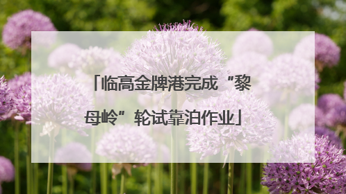 临高金牌港完成“黎母岭”轮试靠泊作业