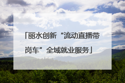 丽水创新“流动直播带岗车”全域就业服务