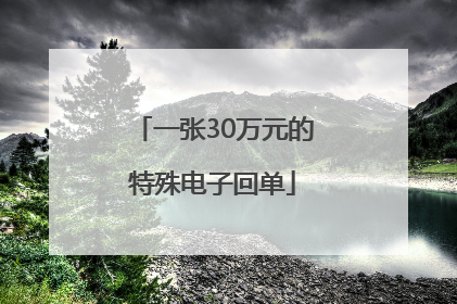 一张30万元的特殊电子回单