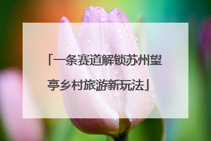 一条赛道解锁苏州望亭乡村旅游新玩法
