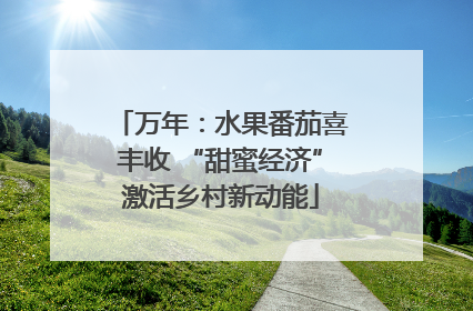 万年：水果番茄喜丰收 “甜蜜经济”激活乡村新动能