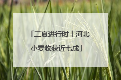 三夏进行时丨河北小麦收获近七成
