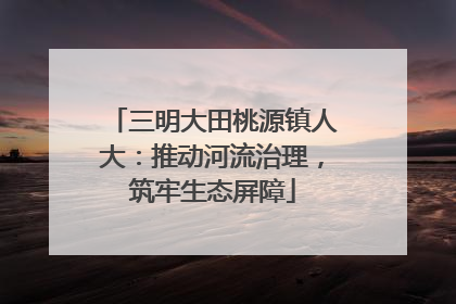 三明大田桃源镇人大：推动河流治理，筑牢生态屏障