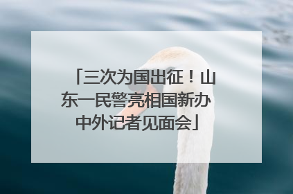 三次为国出征！山东一民警亮相国新办中外记者见面会