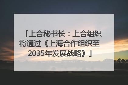 上合秘书长：上合组织将通过《上海合作组织至2035年发展战略》
