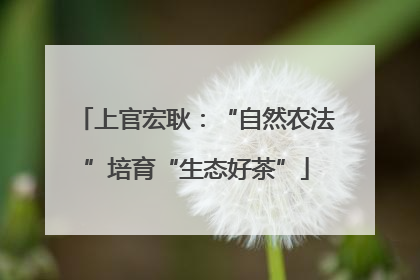 上官宏耿：“自然农法”培育“生态好茶”