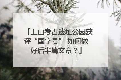 上山考古遗址公园获评“国字号” 如何做好后半篇文章？