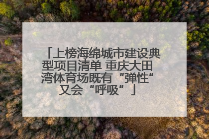 上榜海绵城市建设典型项目清单 重庆大田湾体育场既有“弹性”又会“呼吸”