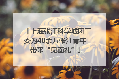 上海张江科学城团工委为40余万张江青年带来“见面礼”