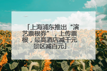 上海浦东推出“演艺票根券”，上传票根，最高酒店减千元景区减百元