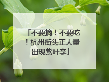不要摘！不要吃！杭州街头正大量出现紫叶李