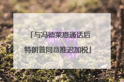 与冯德莱恩通话后 特朗普同意推迟加税