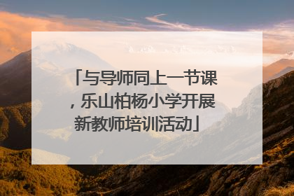 与导师同上一节课，乐山柏杨小学开展新教师培训活动