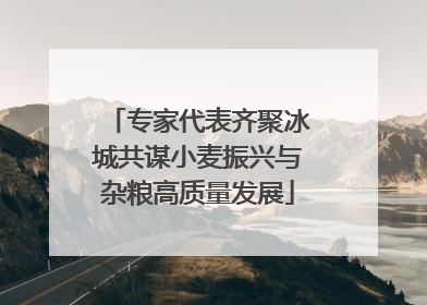 专家代表齐聚冰城共谋小麦振兴与杂粮高质量发展