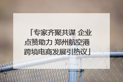 专家齐聚共谋 企业点赞助力 郑州航空港跨境电商发展引热议