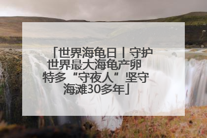 世界海龟日丨守护世界最大海龟产卵 特多“守夜人”坚守海滩30多年