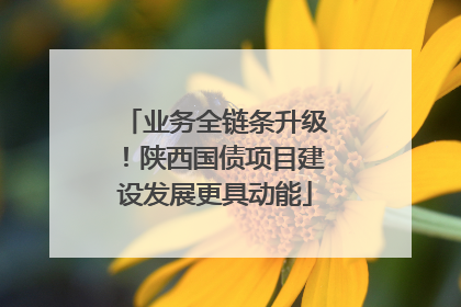 业务全链条升级！陕西国债项目建设发展更具动能