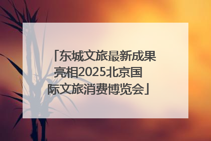 东城文旅最新成果亮相2025北京国际文旅消费博览会