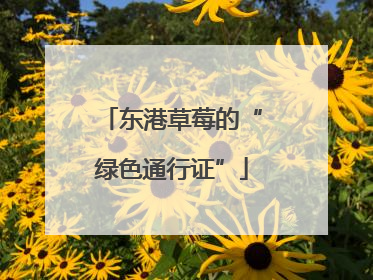 东港草莓的“绿色通行证”