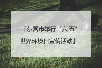 东营市举行“六·五”世界环境日宣传活动