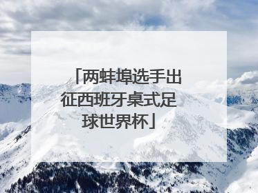 两蚌埠选手出征西班牙桌式足球世界杯