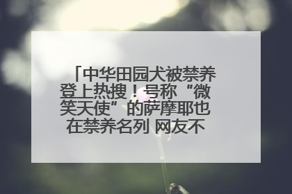 中华田园犬被禁养登上热搜！号称“微笑天使”的萨摩耶也在禁养名列 网友不解西安多部门回应