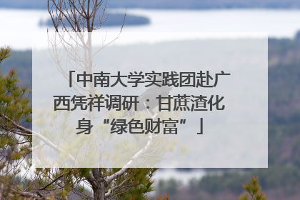 中南大学实践团赴广西凭祥调研：甘蔗渣化身“绿色财富”