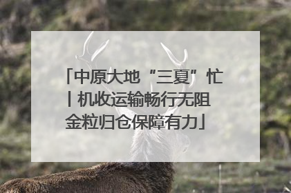 中原大地“三夏”忙丨机收运输畅行无阻 金粒归仓保障有力