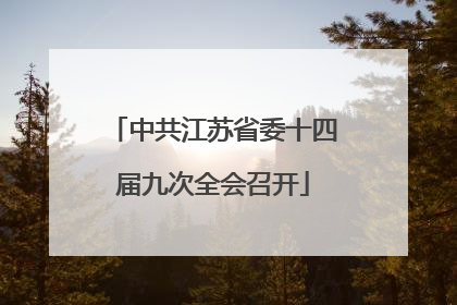 中共江苏省委十四届九次全会召开