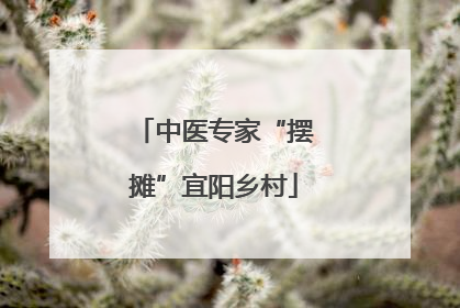 中医专家“摆摊”宜阳乡村