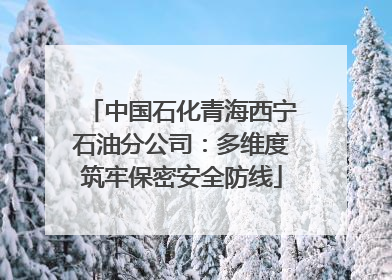 中国石化青海西宁石油分公司：多维度筑牢保密安全防线