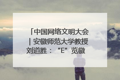 中国网络文明大会｜安徽师范大学教授刘道胜：“E”览徽风，构筑中华民族共有精神家园