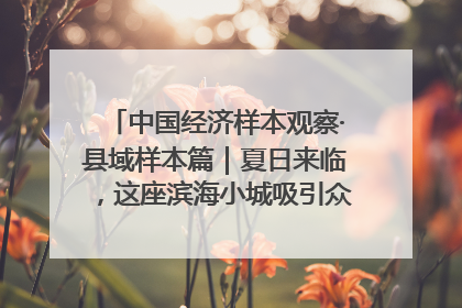 中国经济样本观察·县域样本篇｜夏日来临，这座滨海小城吸引众多年轻人打卡……