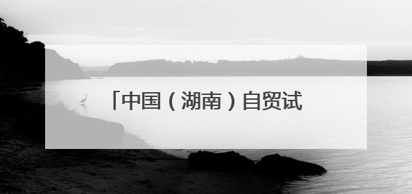 中国（湖南）自贸试验区对非合作创新成果发布 长沙片区对非贸易年均增长141%