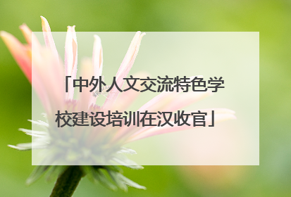 中外人文交流特色学校建设培训在汉收官