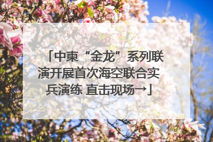 中柬“金龙”系列联演开展首次海空联合实兵演练 直击现场→