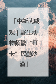中新武威观｜野生动物频繁“打卡”民勤沙漠