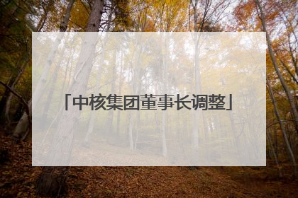 中核集团董事长调整