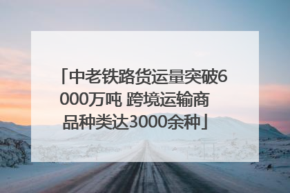 中老铁路货运量突破6000万吨 跨境运输商品种类达3000余种