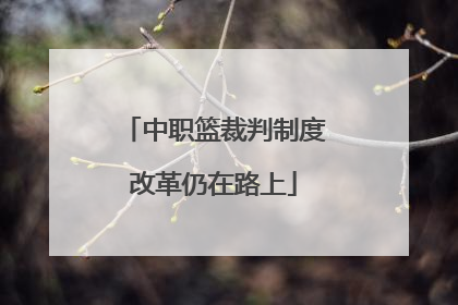 中职篮裁判制度改革仍在路上
