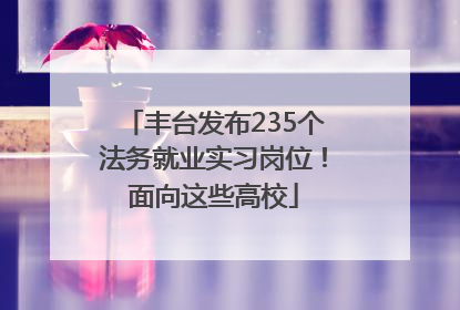 丰台发布235个法务就业实习岗位！面向这些高校
