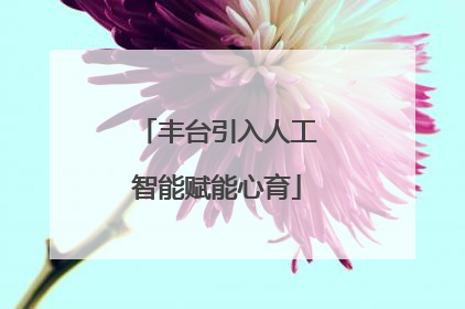 丰台引入人工智能赋能心育