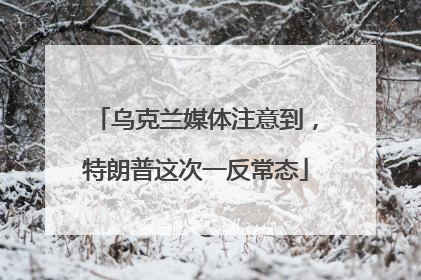 乌克兰媒体注意到，特朗普这次一反常态