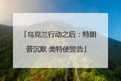 乌克兰行动之后：特朗普沉默 美特使警告