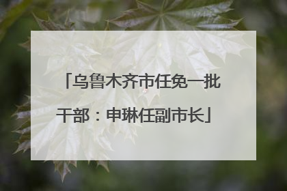 乌鲁木齐市任免一批干部：申琳任副市长