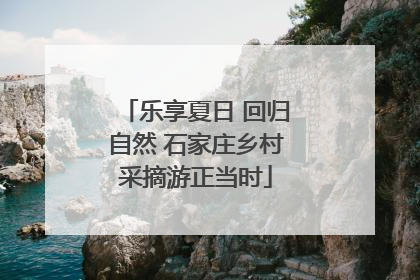 乐享夏日 回归自然 石家庄乡村采摘游正当时