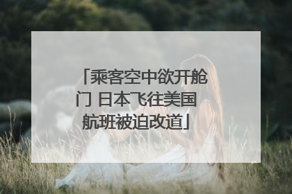 乘客空中欲开舱门 日本飞往美国航班被迫改道