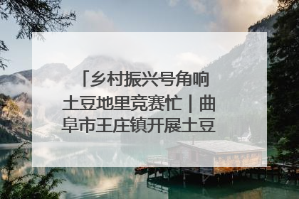 乡村振兴号角响 土豆地里竞赛忙｜曲阜市王庄镇开展土豆收获劳动竞赛